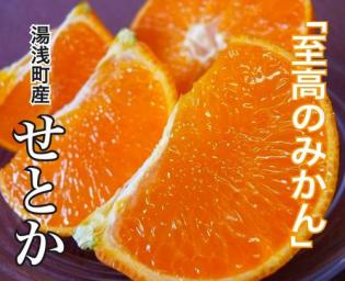 せとか　自宅用　3キロ