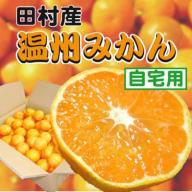 蜂久みかん　自宅用　5キロ