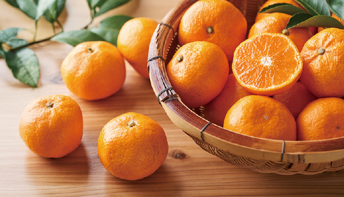 �L�c�݂���